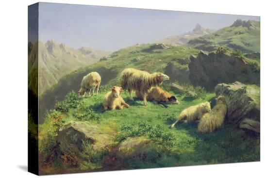 Stretched Canvas Print, , large