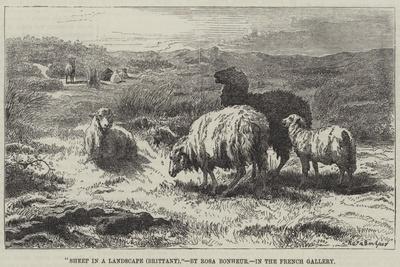 Sheep in a Landscape, Brittany