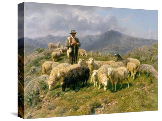 Stretched Canvas Print, , large