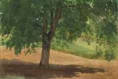 Study of Light and Shade (Oil on Card Laid Down on Canvas)-Rosa Bonheur-Giclee Print