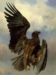 The Wounded Eagle, c.1870-Rosa Bonheur-Giclee Print