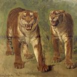 Tigre royal furieux-Rosa Bonheur-Giclee Print