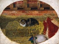 Catnap, 1858-Rosa Brett-Framed Giclee Print