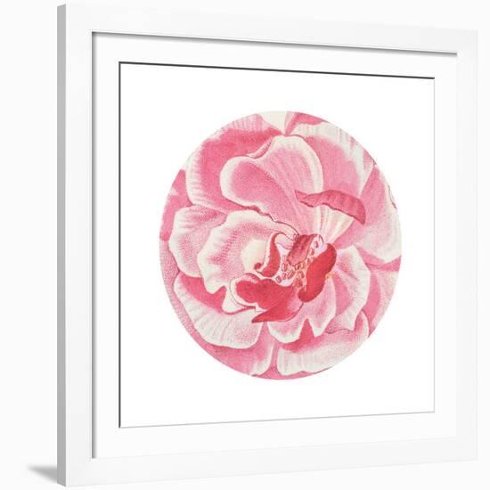 Rosa Circle-Wild Apple Portfolio-Framed Art Print