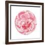 Rosa Circle-Wild Apple Portfolio-Framed Art Print