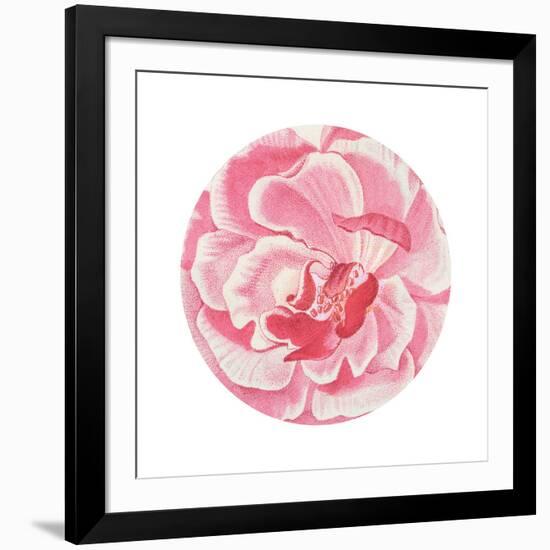 Rosa Circle-Wild Apple Portfolio-Framed Art Print