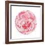 Rosa Circle-Wild Apple Portfolio-Framed Art Print