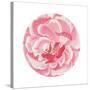 Rosa Circle-Wild Apple Portfolio-Stretched Canvas