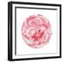 Rosa Circle-Wild Apple Portfolio-Framed Art Print