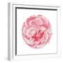 Rosa Circle-Wild Apple Portfolio-Framed Art Print