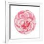 Rosa Circle-Wild Apple Portfolio-Framed Art Print