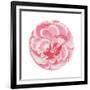 Rosa Circle-Wild Apple Portfolio-Framed Art Print