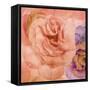 Rosa Cuadrada-Moises Levy-Framed Stretched Canvas