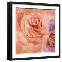 Rosa Cuadrada-Moises Levy-Framed Giclee Print