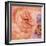 Rosa Cuadrada-Moises Levy-Framed Giclee Print