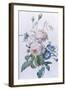 Rosa Damascena-Pierre-Joseph Redouté-Framed Giclee Print