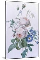 Rosa Damascena-Pierre-Joseph Redouté-Mounted Giclee Print