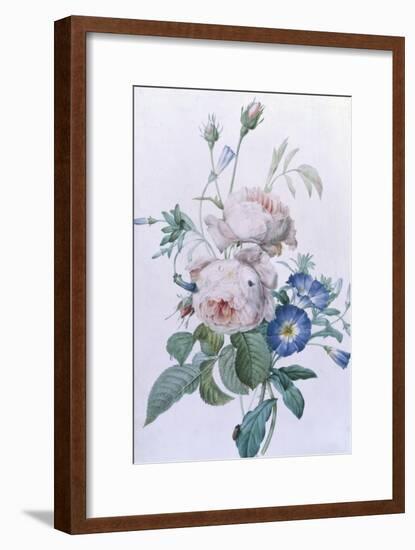 Rosa Damascena-Pierre-Joseph Redouté-Framed Giclee Print