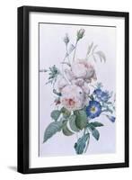 Rosa Damascena-Pierre-Joseph Redouté-Framed Premium Giclee Print