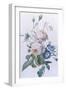 Rosa Damascena-Pierre-Joseph Redouté-Framed Premium Giclee Print