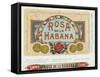 Rosa de la Habana Brand Cigar Box Label-Lantern Press-Framed Stretched Canvas