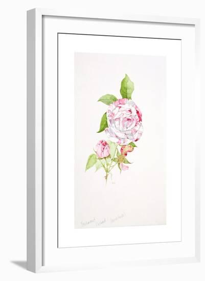 Rosa Ferdinand Pichard-Sarah Creswell-Framed Giclee Print