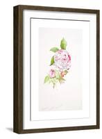 Rosa Ferdinand Pichard-Sarah Creswell-Framed Giclee Print