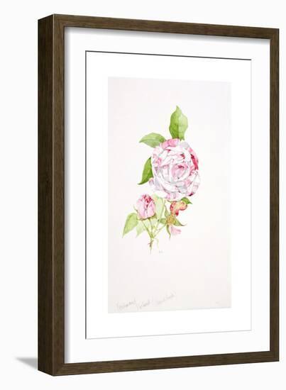 Rosa Ferdinand Pichard-Sarah Creswell-Framed Giclee Print