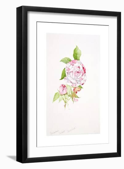 Rosa Ferdinand Pichard-Sarah Creswell-Framed Giclee Print