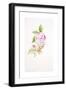 Rosa Ferdinand Pichard-Sarah Creswell-Framed Giclee Print