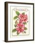 Rosa Mundi-Gwendolyn Babbitt-Framed Art Print