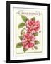 Rosa Mundi-Gwendolyn Babbitt-Framed Art Print