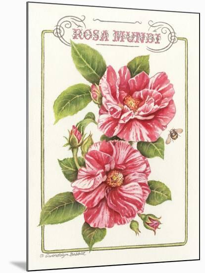 Rosa Mundi-Gwendolyn Babbitt-Mounted Art Print