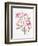 Rosa 'Mutabilis', 1996-Alison Cooper-Framed Giclee Print