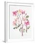 Rosa 'Mutabilis', 1996-Alison Cooper-Framed Giclee Print