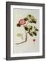 Rosa Pumila, from 'Les Roses' Vol II, 19th Century-Pierre Joseph Redoute-Framed Giclee Print