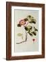 Rosa Pumila, from 'Les Roses' Vol II, 19th Century-Pierre Joseph Redoute-Framed Giclee Print