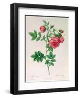 Rosa Rapa-Pierre Petit-Framed Giclee Print