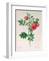 Rosa Rapa-Pierre Petit-Framed Giclee Print