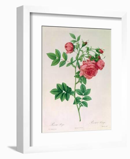 Rosa Rapa-Pierre Petit-Framed Giclee Print