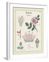 Rosa-Maria Mendez-Framed Giclee Print