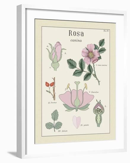 Rosa-Maria Mendez-Framed Giclee Print