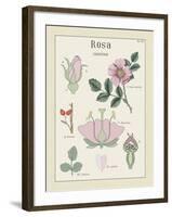 Rosa-Maria Mendez-Framed Giclee Print