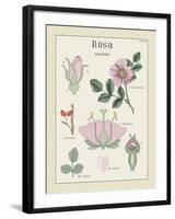 Rosa-Maria Mendez-Framed Giclee Print