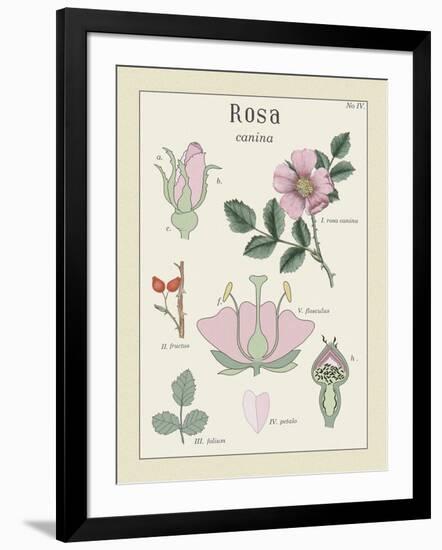 Rosa-Maria Mendez-Framed Giclee Print