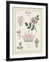 Rosa-Maria Mendez-Framed Giclee Print