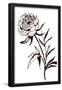 Essential Black