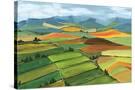 Stretched Canvas