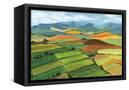 Canvas Black