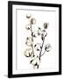 Gramercy Black